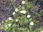 Photo DSC01853.JPG